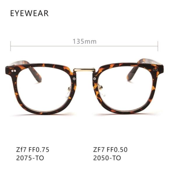 Model 2050/2075 See Through X Ray Glasses / Goggles TR Materials Ordinary Type