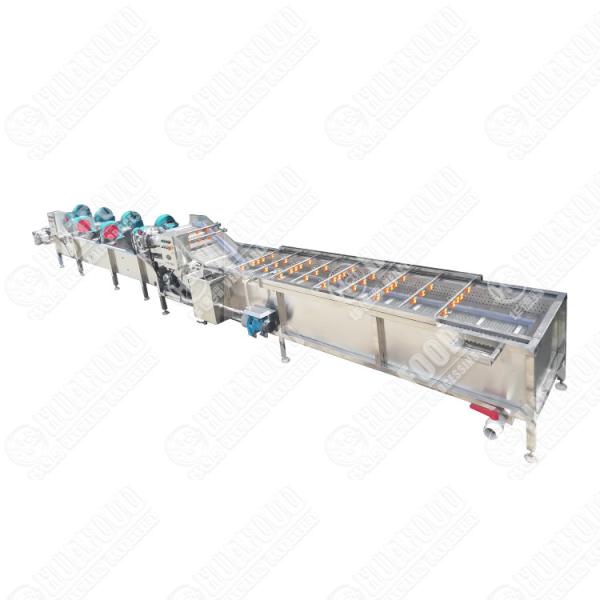 Farm Moringa Leaf Production Line Moringa Dryer Leaf Date Washing Drying Grinding Machine Fruit And Vegetable Dehydrator
