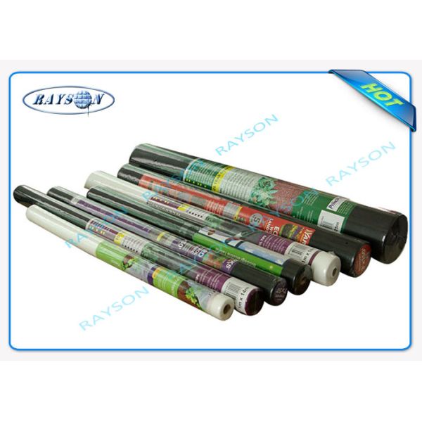 Малая ткань ландшафта Rolls Анти--UV Biodegradable, Landscape земная крышка