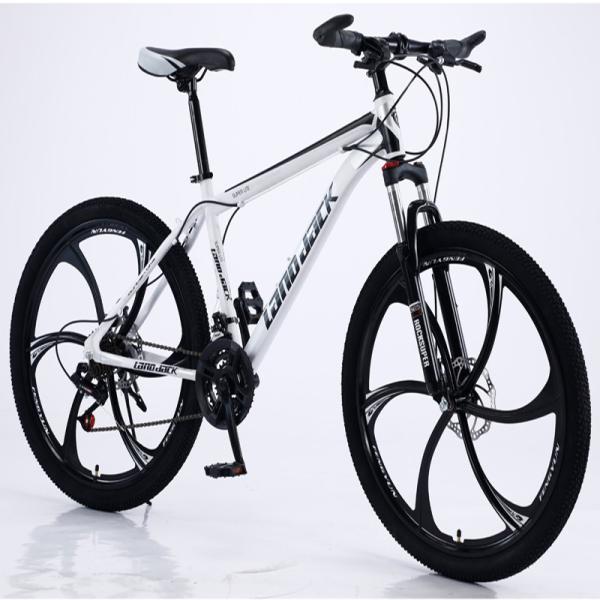 Unfoldable Aluminum Frame Mountain Bike OEM Suspension Fork Speed Up
