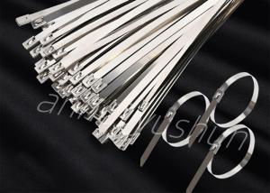 SS 304 Reusable Metal Cable Ties 4.5*550mm OEM