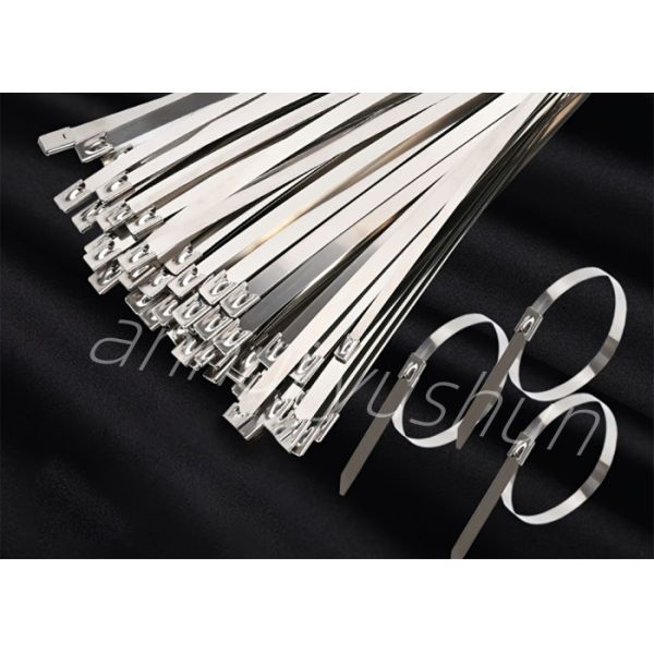 SS 304 Reusable Metal Cable Ties 4.5*550mm OEM
