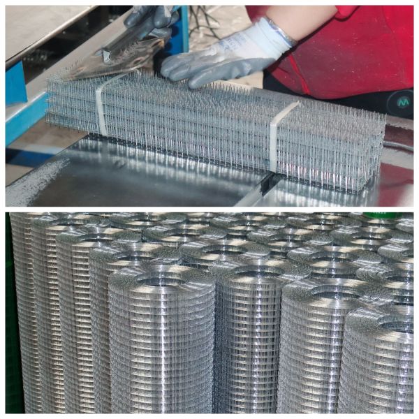Construction Stainless Steel Welded Wire Mesh 5-50m Roll For Animal Cage