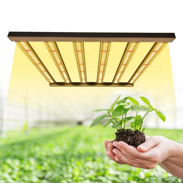 3x3 Dimmable Lm301b Lm301h LED Grow Light For Indoor Medicinal Plants