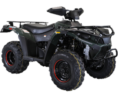TCI 4WD Four Stroke Quad 300cc Utility Vehicles ATV
