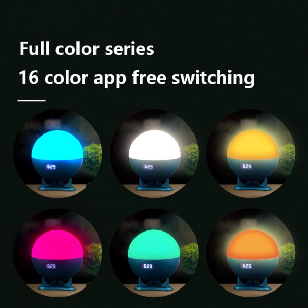 Smart Tuya Wake Up Light Alarm Clock Touch Sense 16 Colors Multi Functional Night Light With Sleep Aid Music For Bedroom