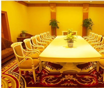 Commercial KTV Handmade Wool Carpets  , Wall To Wall Rug For Luxury Decoration