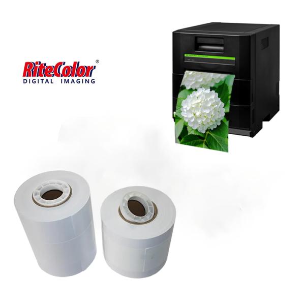 6'' 8'' Digital Drylab Minilab Photo Paper RC Matte Photo Paper Inkjet Roll