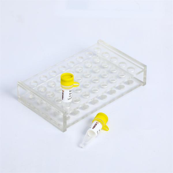 ARMS PCR Mix P4011 P4012 SNP Genotyping
