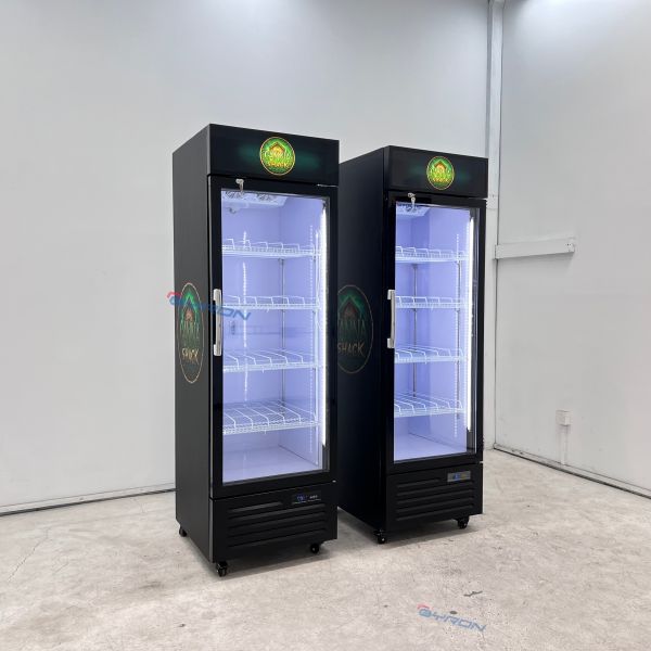 Upright Display Fridge Low Noise Upright Display Freezer For Office