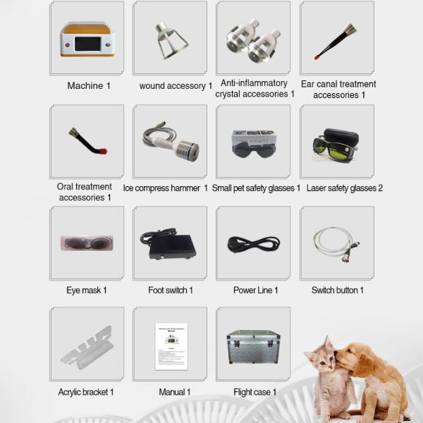 980nm Diode Laser Device for Animal Care and Veterinary Physical Therapy Vet Dental Clinic Use Machine