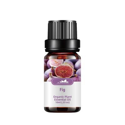 creme hidratante do COA do óleo da massagem da alfazema do amarelo do óleo essencial de folha de figo 10ml