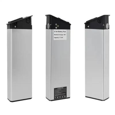 High Quality Silver Fish Battery 48V 20ah Lithium Ion E-Bike Battery For 1000W Electric Bike  Ebike Akku