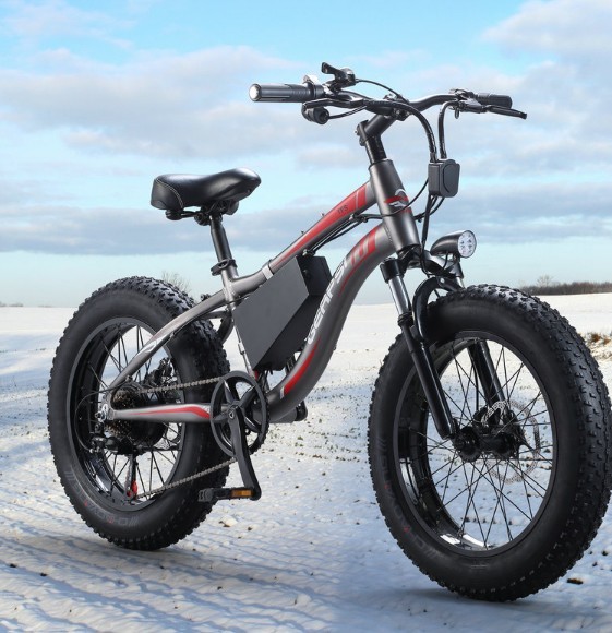 Aluminum 20 Inch Fat Tire Electric Bike 750 Watt