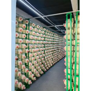 Mushroom Growing Equipment Portable Houses for Mushroom Cultivation Mushroom