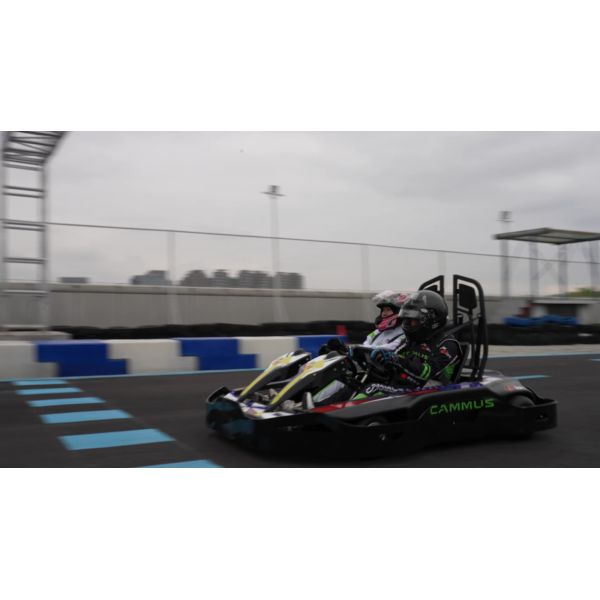 Быстрая обязанность электрическая идет Kart Pro с 4 колесами управляет скоростью мест взрослой быстрой