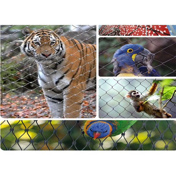 20m*20mm Hole Size 1mm Wire Diameter Stainless Steel Ferrule Wire Rope Mesh For Zoo Bird Protection