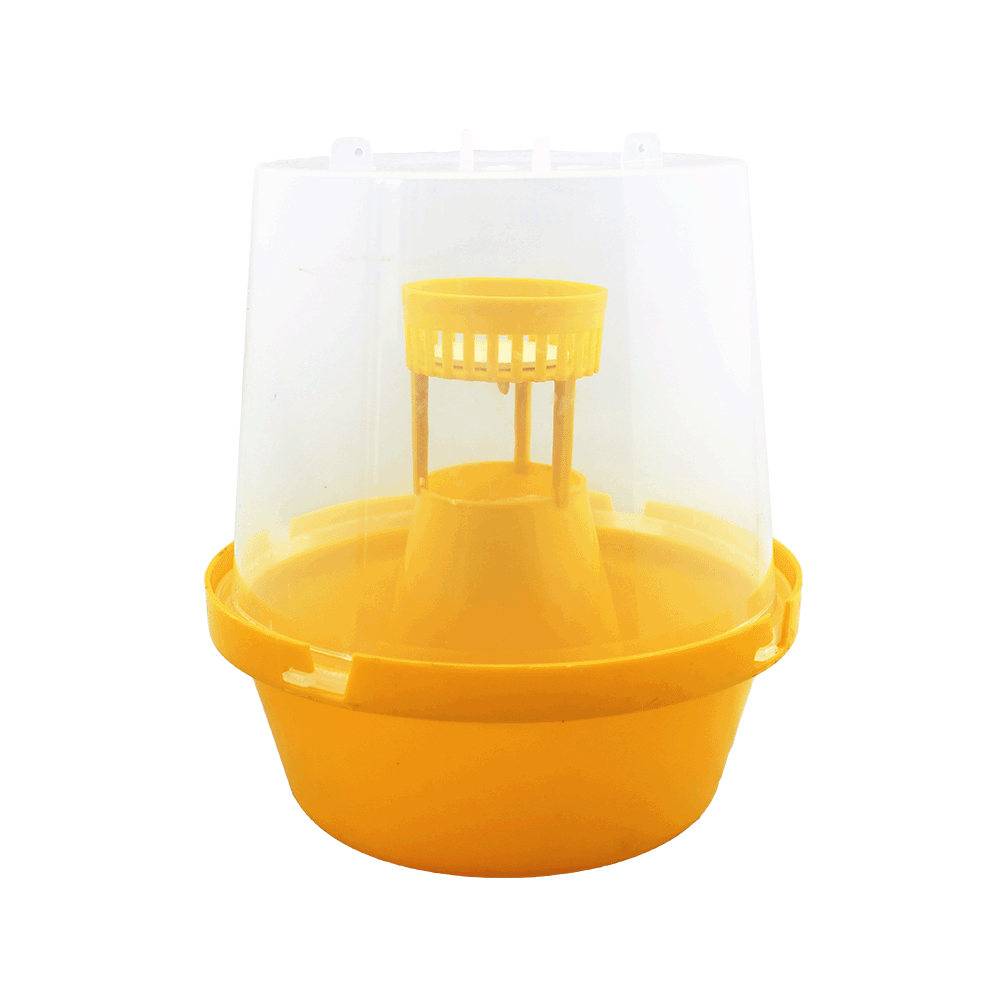 Fruit Fly Trap