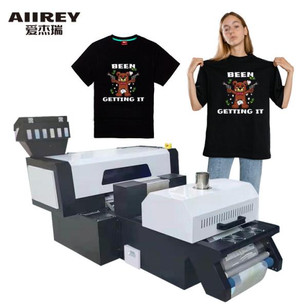2 Head XP600 30cm DTF Printer Machine Roll To Roll Plate Type