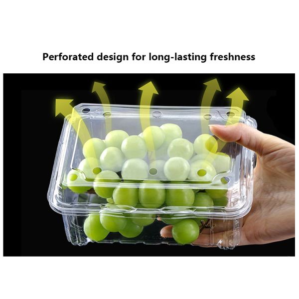Customizable Disposable bowl with different material options suitable for various fruits and vegetables