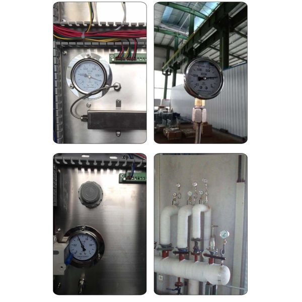 Diaphragm Pressure Gauge with Flange