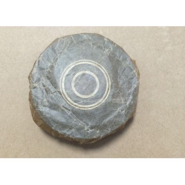 Rouleau de ceinture de la machine G6200 de métier à tisser de tissage de textile