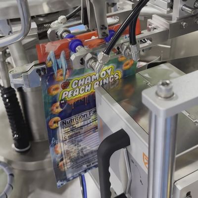 Multifunctional Snack Food Packaging Machine for Popcorn Chips Nuts Candies Premade Bag Packing Line