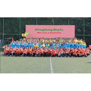Shenzhen Pinfeng Electronic Co., Ltd