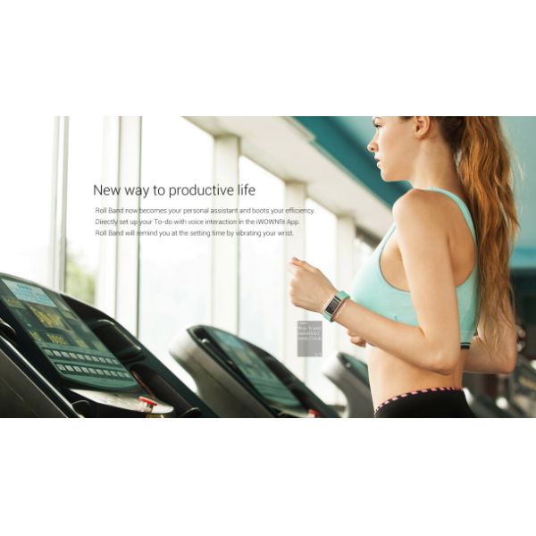 OEM Pedometer Blood Pressure Bracelet