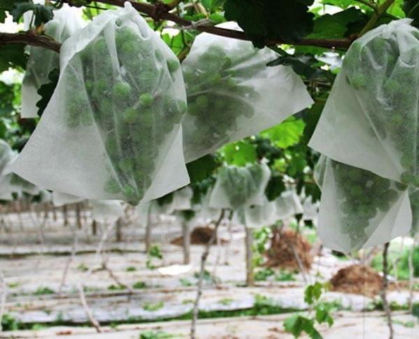Biodegradable Fabric Fruit Protection Bags