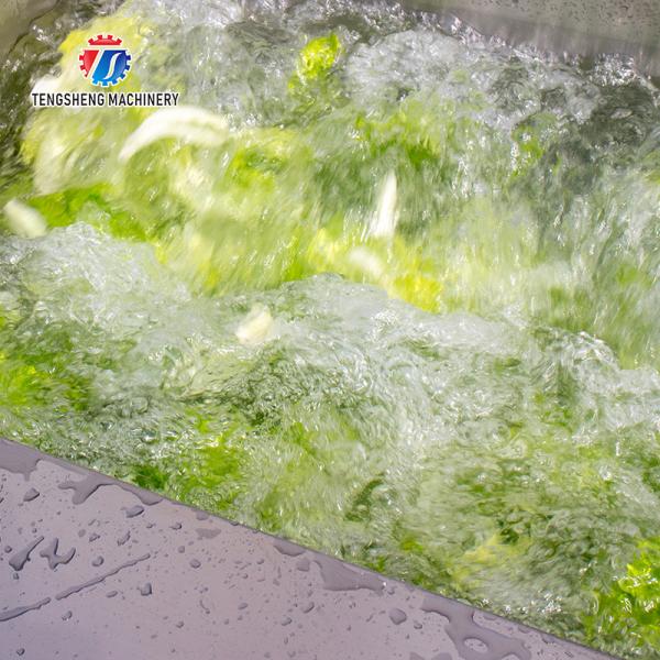 180KG 304 stainless steel eddy current vegetable washing machine Eddy current cleaning machine