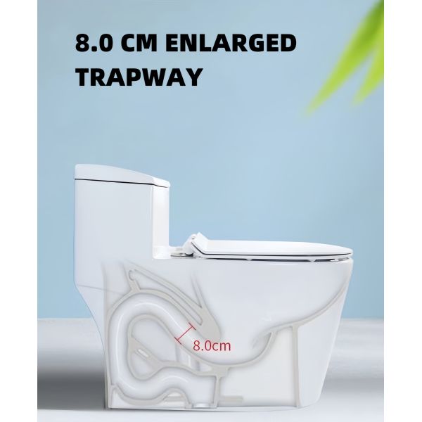 Dual-Flush Single Piece Commode with S/P Trap Drainage Pattern