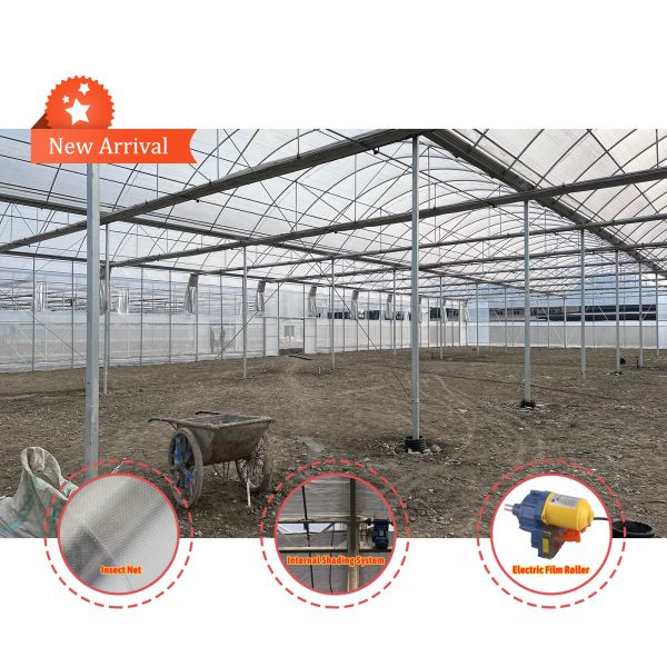 Vegetable Farming Solution 8-60m Customizable Size Agricultural Tunnel Greenhouse with Rolling Bench and Irrigation System