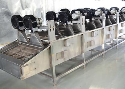 Da cebola vegetal da pimenta da batata doce da máquina do processador do agregado familiar secador frio