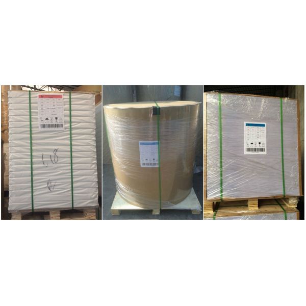 Зеленая и Recyclable мелованная бумага, покрытая двухшпиндельная бумага для упаковки