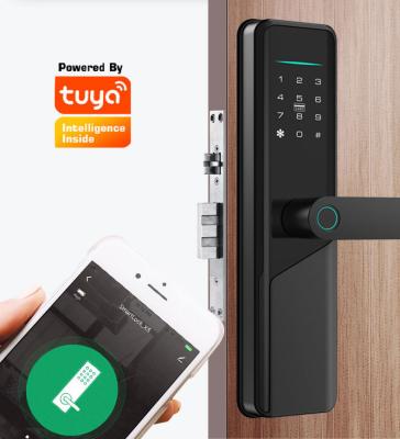 Wifi Biometric Tuya Smart Door Lock Silver Mechanical Keyless Door Lock