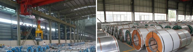 0.6m Width Dx51 Spcc Grade Galvanized Steel Coils