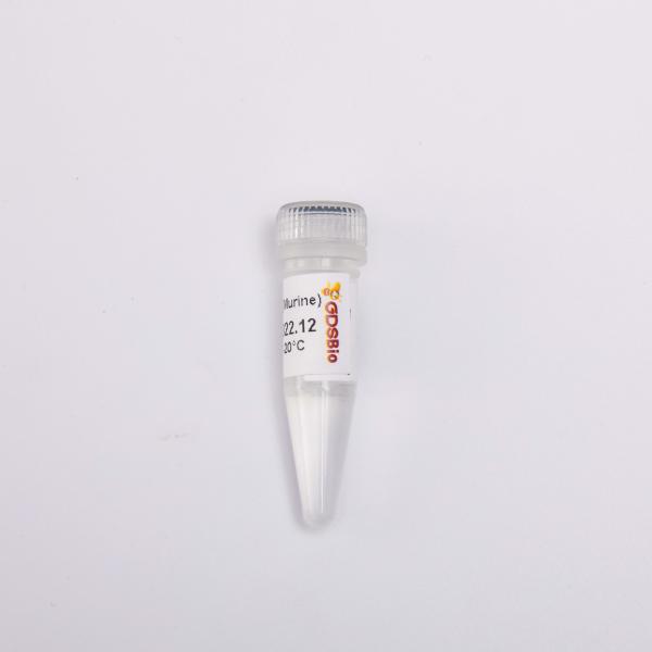 GDSBio Reverse Transcriptase PCR Reagents 20000U Rnase Inhibitor Chemical