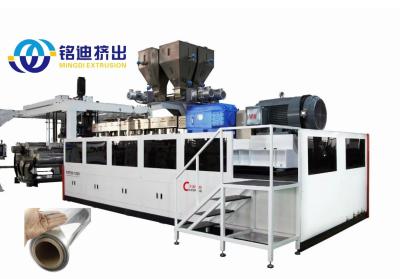 China Fully Automatic Dual Screw Plastic Extruder PET PLA Sheet Production Line