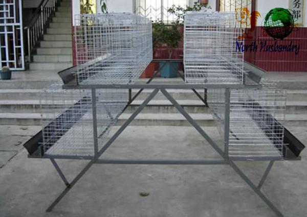 poultry farm cage design