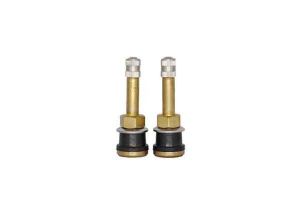 Straught Brass Bolt In Tire Valve Stems TR500 V3.21.2 Bent For Truck and Bus