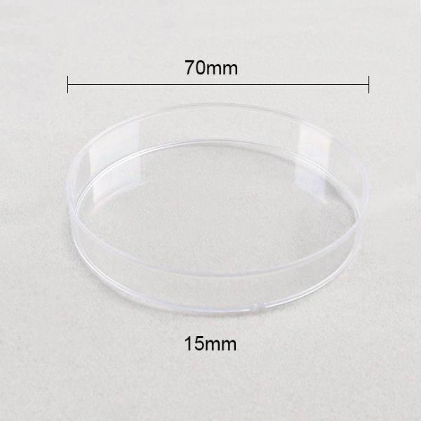 petri dish 70mm Bacterial Cell Culture Plastic Petri Dishes With Lids Culture Dishes