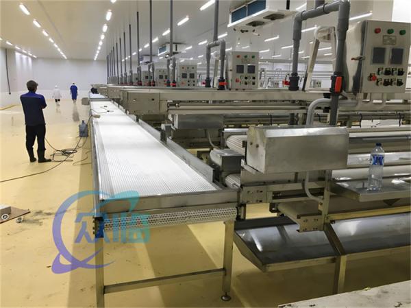 Máquina de processamento de peixe de aço inoxidável Anti-corrosião 380V 50Hz