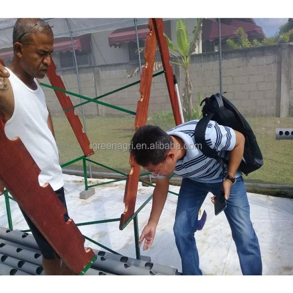 Galvanized Steel Frame Agricultural PE Film Low Cost Garden Green Houses for Plant Growing