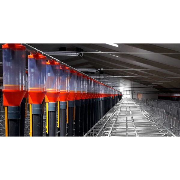 Сталелитейная ферма покупает оборудование для птицеводческой фермы в Индии