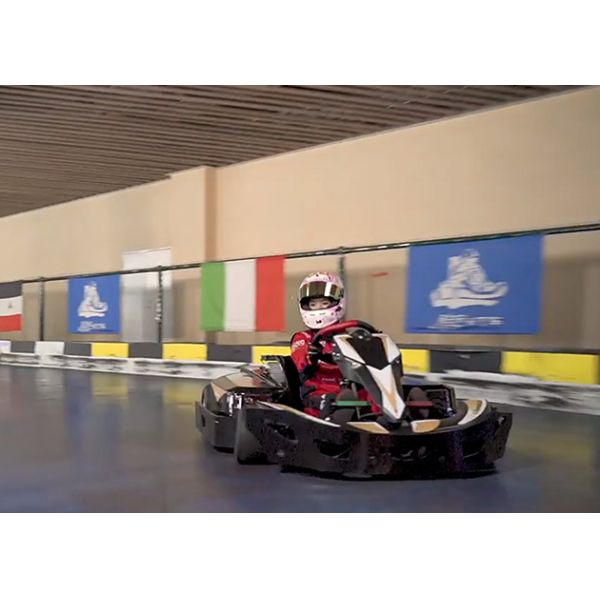 быстрые электрические 14Nm идут Kart для взрослых