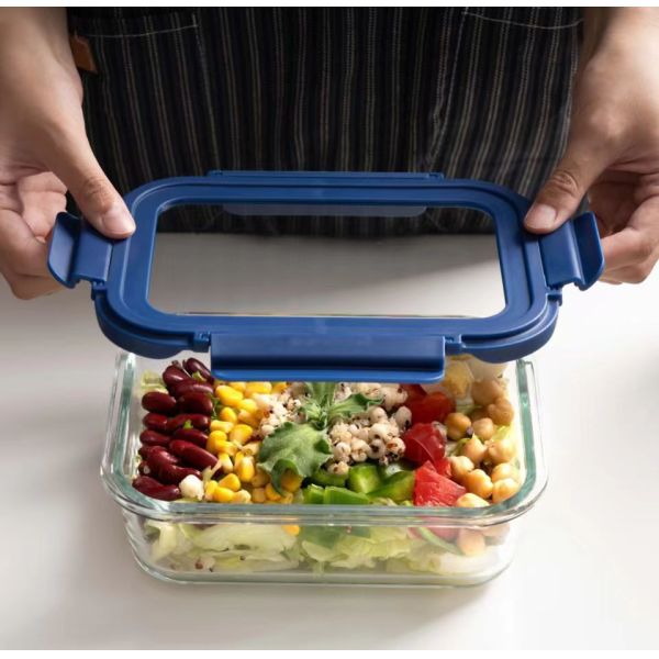 Leak Proof Airtight Borosilicate Glass Food Storage Container Microwave Safe with Silicone Sleeve