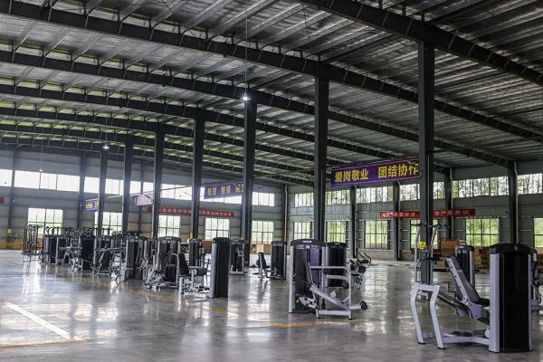 High Quality 45 Degree Back Extension Roman Chair Bench Machine Fitness Equipment Back Extension Roman Chair