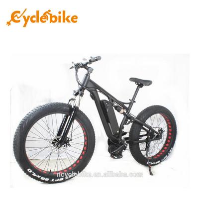 48 V 1000w Mid Drive Motor Fat Tire Powerful Electric Bike For Ladies , No Foldable