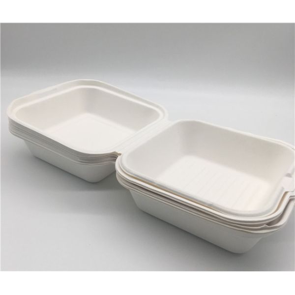 Bento   6x6 Inch 21g  Biodegradable Boxes For Food